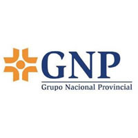 GNP